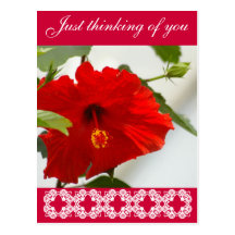 Red Glory Post Card