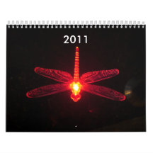 Red Glowing Dragonfly, Be Inspired, 2012 Calendars