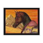Red & Gold Arabian horse postcard