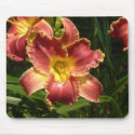 Red & Gold Daylily Mousepad mousepad