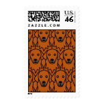 Red Golden Retrievers postage