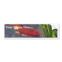 Red Goldfish bumper stickers by lifesphere Red Goldfish bumper stickers