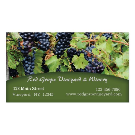 Red Grapes Vineyard Business Card (front side)