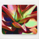 Red & Green Agave Mousepads