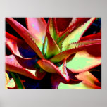 Red & Green Agave Print