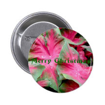 Red Green Caladium Merry Christmas Badge Buttons