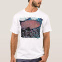 Red Grouper t-shirts by ceberhardt Red Grouper t-shirts