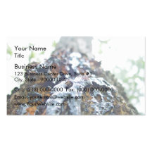 Red gum bark closeup business card