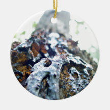 Red gum bark closeup christmas ornament