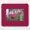 Red Gum Flower mousepad
