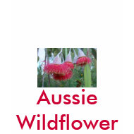 Red Gum Flower shirt