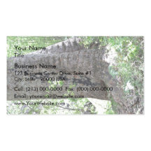 Red gum tree in forest business cards