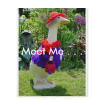 Red Hat Goose Products Full Color Flyer