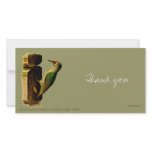 Red-head Woodpecker Photo Card