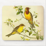 Red-headed Bunting Emberiza bruniceps Mousepad