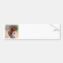 Red Headed Cardinal Bumper Stickers
