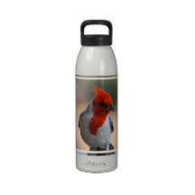 Red Headed Cardinal Water Bottle