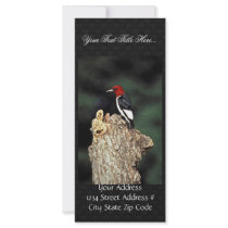 Red-headed woodpecker rack card design
