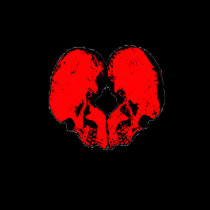 Red Heart Skulls t-shirts