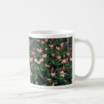 Red Heart's Delight Tulip, (Tulipa Kaufmanniana) f Coffee Mug