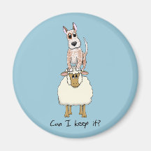 Red Heeler Backing Sheep Magnet