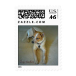 Red Heeler postage