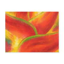 Red Heliconia Flower Art - Multi Postcards