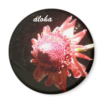 red heliconia on black aloha magnets