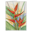 Red Heliconia Tropical Flowers Painting - Multi cards