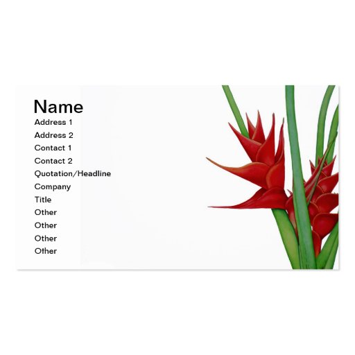 Red Heliconia Watercolour Business Cards (front side)