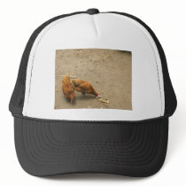 Red Hens hats