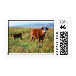 Red Hereford Mama Cow with Horns and Baby Calf Stamp