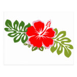 Red Hibiscus and Leaves Post Cards