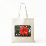 Red Hibiscus Budget Tote Tote Bags