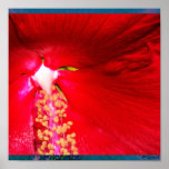 Red Hibiscus Canvas Print
