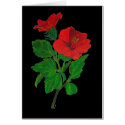 Red Hibiscus Card