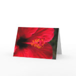 Red hibiscus cards
