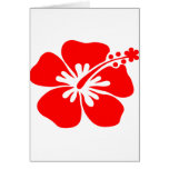 Red hibiscus flower card