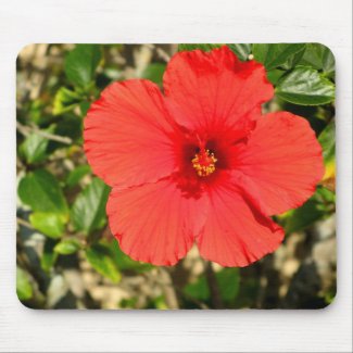 Red Hibiscus Flower Mousepad
