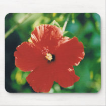 Red Hibiscus Flower mousepads by JKcoder Red Hibiscus Flower mousepads
