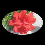 Red Hibiscus Flower Sticker