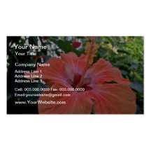 Red Hibiscus flowers Business Card