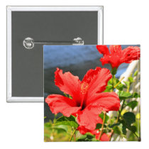Red Hibiscus Flowers buttons
