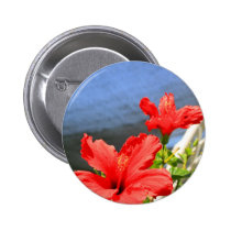 Red Hibiscus Flowers buttons