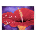 Red Hibiscus I Love You Valentine Card Art