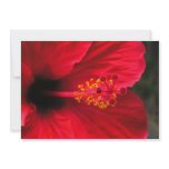 Red hibiscus personalized invites