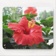 Red hibiscus mousepad mousepad