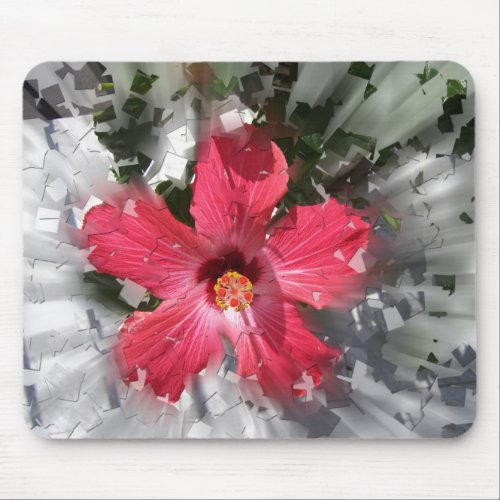 Red Hibiscus