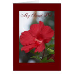 Red Hibiscus, My Secret Pal Greeting Card