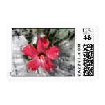 Red Hibiscus postage